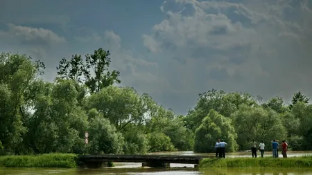 Conferința Gândul - 