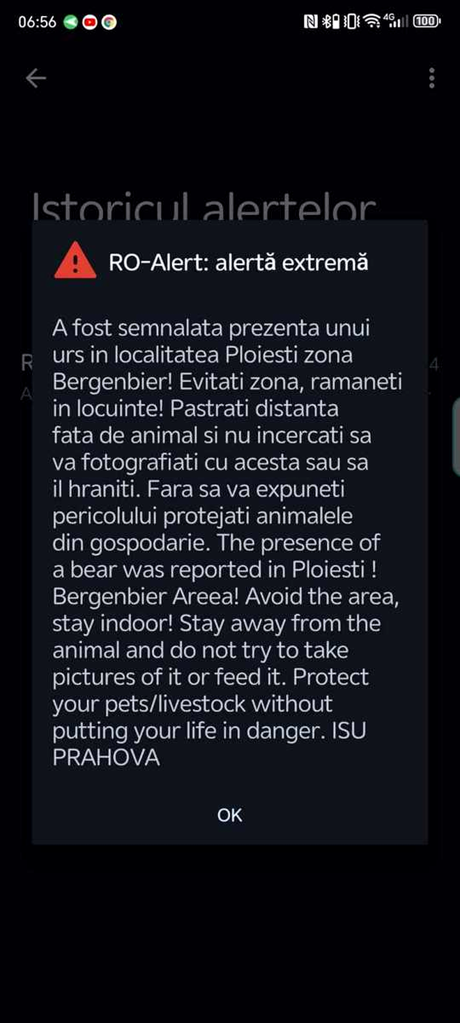 Ploiești: Un urs a fost văzut, duminică dimineaţă, în zona de vest a orașului