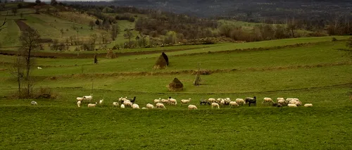 În România, există un sat în care nu s-a mai născut niciun locuitor de 27 de ani