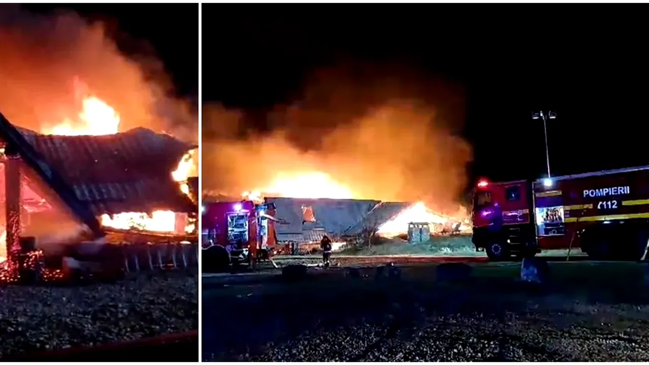 De ce nu a fost finalizat nici până acum dosarul „Ferma Dacilor”. Decizie de utimă oră a patronului Cornel Dinicu