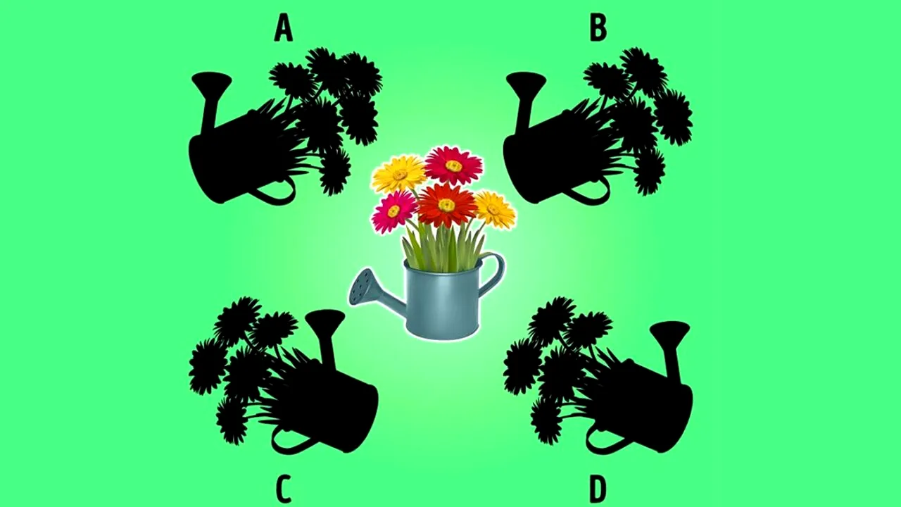 TEST de inteligență | Care este umbra potrivită?