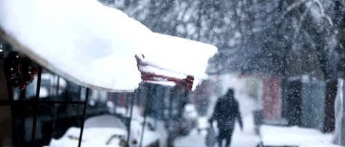 Școlile din TIMIȘ și din SUCEAVA sunt închise luni, din cauza zăpezii. Andronescu: Inspectoratele pot solicita acest lucru
