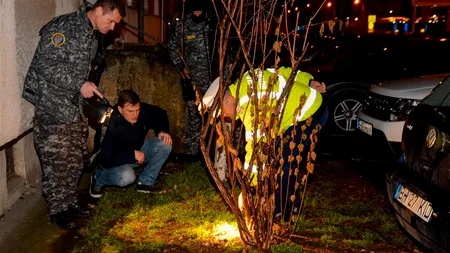 Este oficial: Interlopul care și-a împușcat fosta iubită în cap nu s-a sinucis. Cum a murit, de fapt, Adrian Hladii