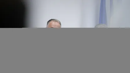 Licu, despre cazul Adrianei, fetița ucisă în Dâmbovița: Sunt suspiciuni că activitatea olandezului s-a desfășurat pe mai multe județe