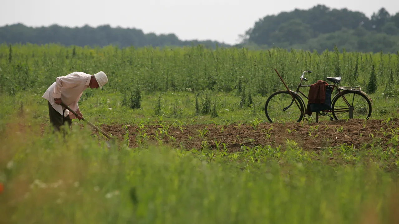 Crimă șocantă într-un sat din Arad. Un bărbat și-a omorât vecinul după ce i-a dat cu sapa în cap