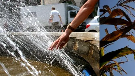 Vin vremuri grele pentru sudul și sud-estul țării. Cum va fi VREMEA în această vară. PROGNOZA METEO pentru următoarele luni 