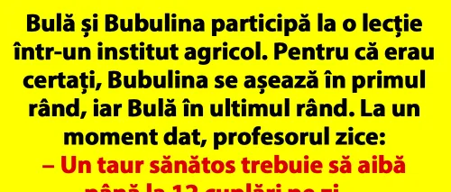 BANC | Bulă și Bubulina participă la o lecție într-un institut agricol