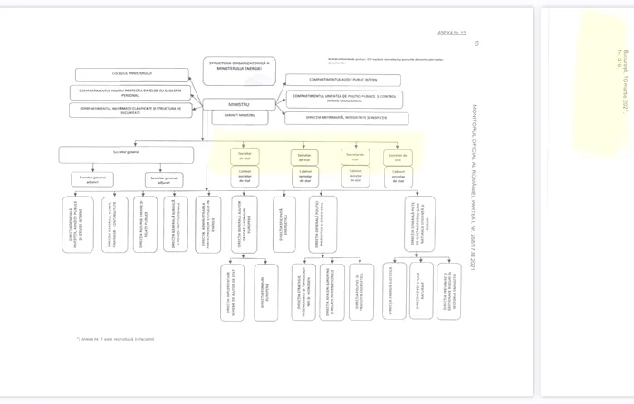 Organigramă 4 posturi SS