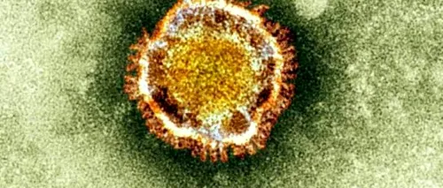 Cercetătorii au descoperit un virus mai periculos decât SARS
