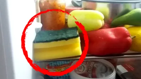 TRUCUL din bucătărie știut de puțini români. Ce se întâmplă dacă lași un burete de vase în frigider