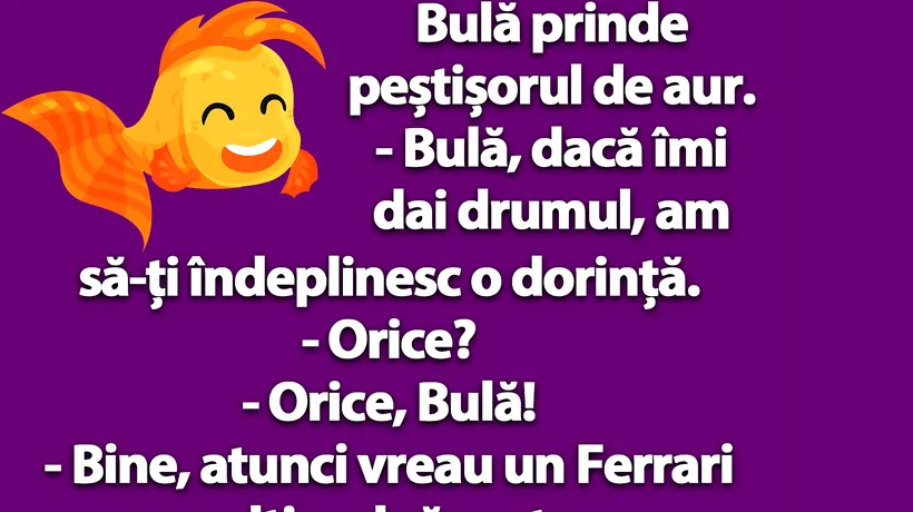 BANC | Bulă prinde peștișorul de aur: „Dacă-mi dai drumul...”