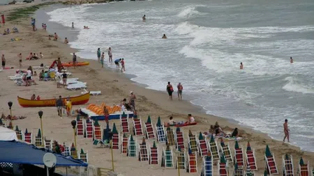 Apariție neobișnuită pe plajele din Eforie Sud. Localnicii sunt surprinși