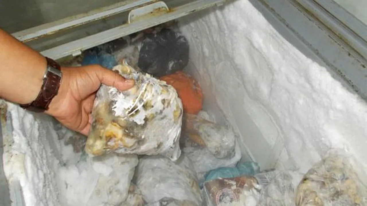 Constănțeni cercetați după ce au fost prinși transportând peste trei tone de melci