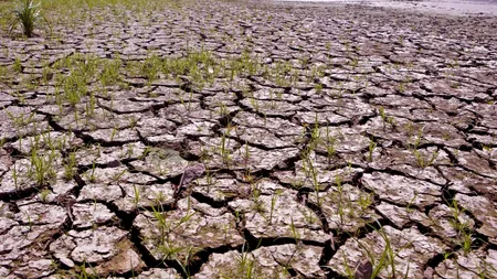 Fenomenul El Nino a început. Ce va aduce apocalipsa meteo din vara aceasta