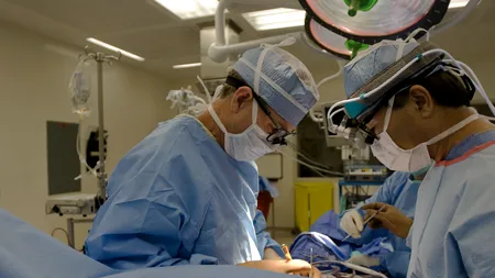 Peste 40% din totalul cazurilor de cancer au această cauză