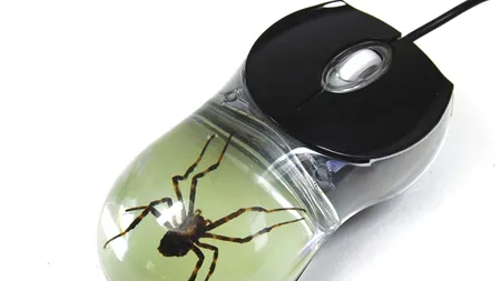 Nerecomandat pentru arahnofobi: Acest mouse are un păianjen real conservat în el