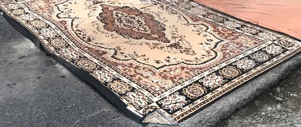 FOTO Pesta porcină, combătută cu... covorul persan. Primar: Ce nu este regulă? Este un material absorbant