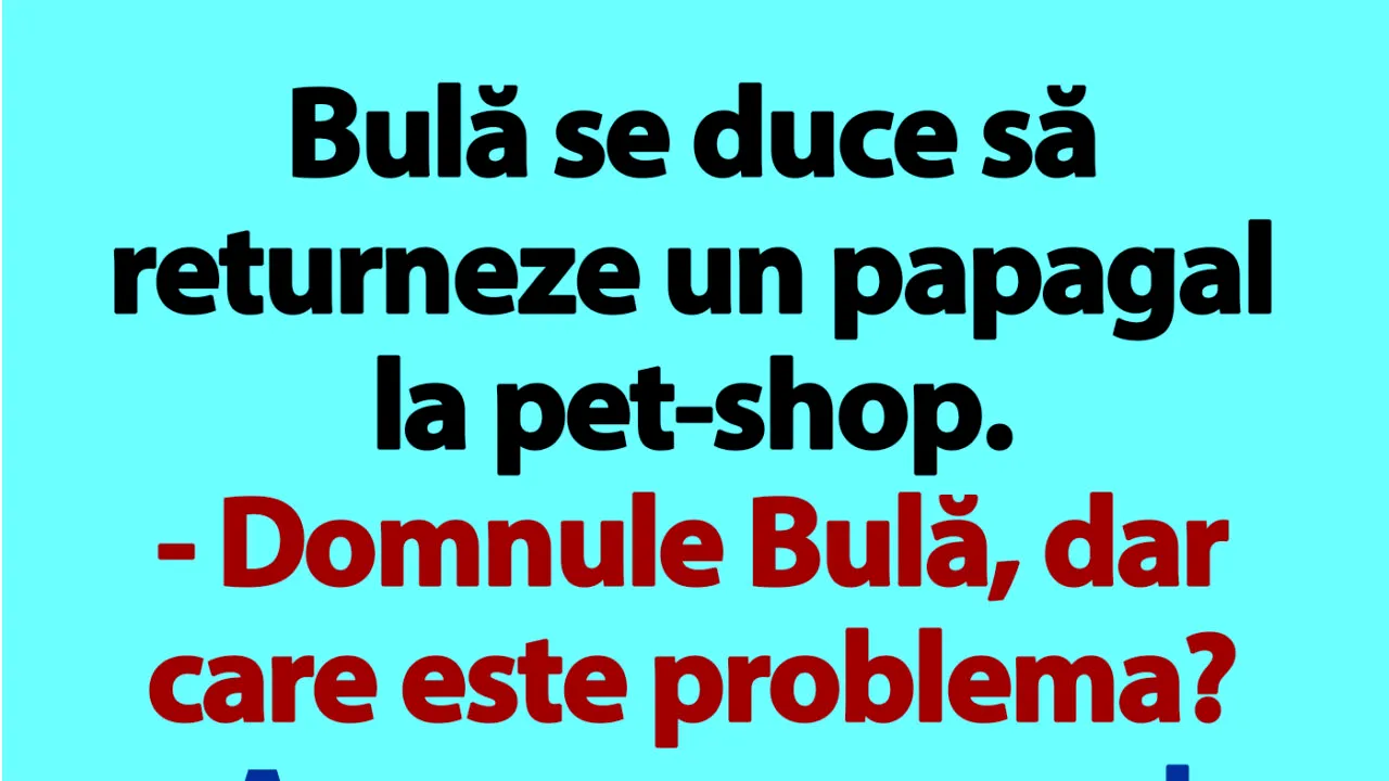 BANC | Bulă se duce să returneze un papagal la pet-shop