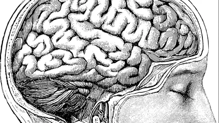 Cum putem deveni mai inteligenți