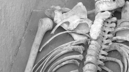 Anchetă a Parchetului Militar Iași după descoperirea de oseminte lângă groapa comună de la Popricani