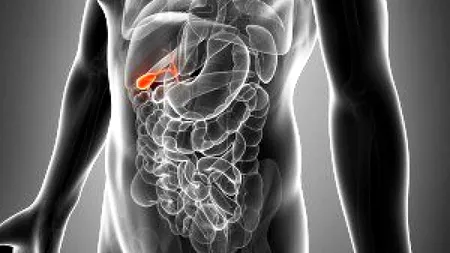 Semnele care te anunță că ai probleme cu fierea