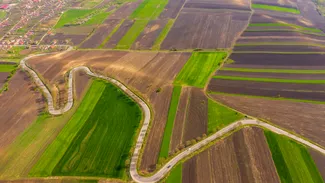 Comuna din România, unde un teren forestier se vinde cu 3 €/m², acum, în martie 2026. Ce suprafață are: „Oportunitate rară”