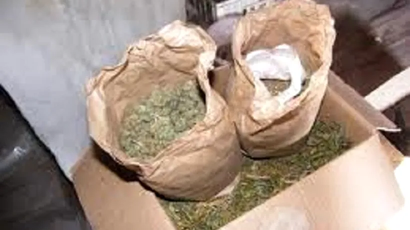 Cinci traficanți de droguri care au adus din Grecia zece kilograme de canabis sunt cercetați