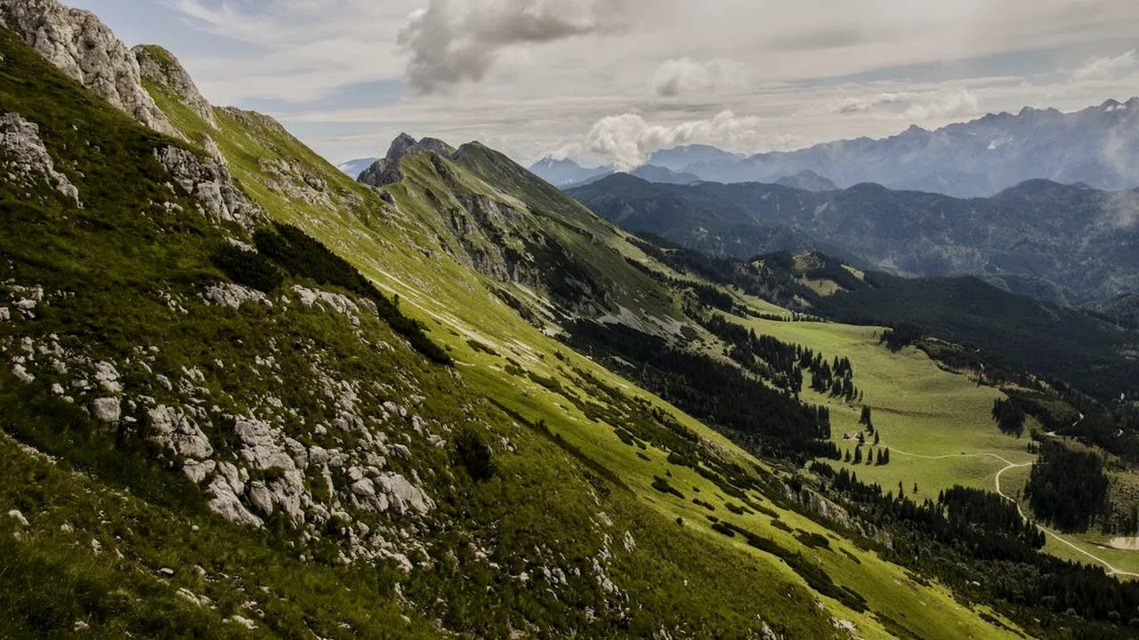 De ce ar trebui să ne uităm mai atenți la pajiștile alpine?