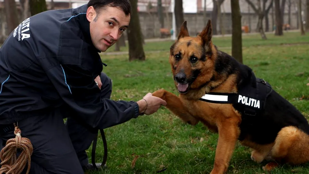 Bărbat bănuit că a incendiat o casă, prins cu ajutorul câinelui de urmă Nero