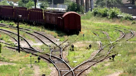 OmniTRAX a contestat procedura de privatizare a CFR Marfă și cere reluarea procesului