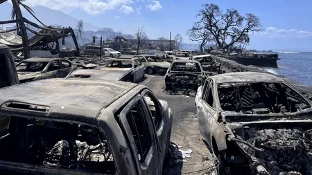 55 persoane au murit în incendiul de vegetație din Maui, Hawaii. Oamenii au sărit în apă să se salveze