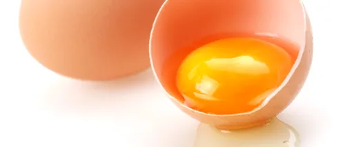 Cum e mai bine să păstrăm ouăle: în frigider sau la temperatura camerei