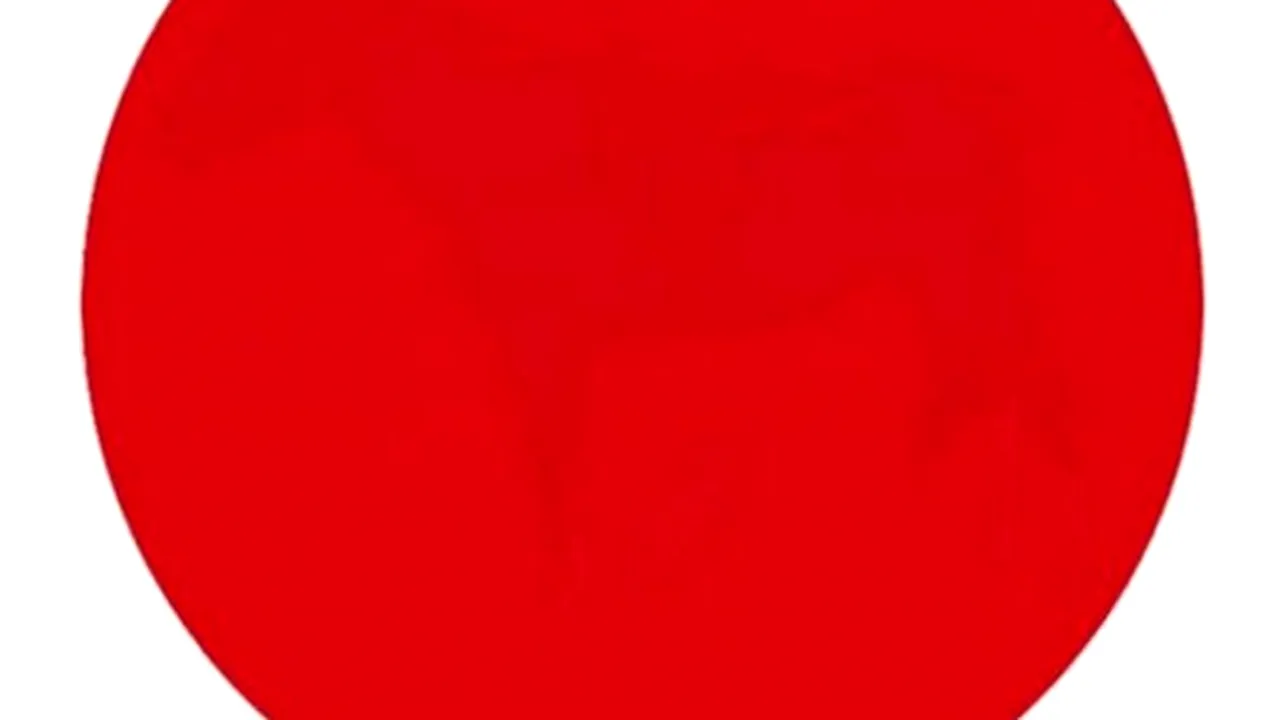 TESTUL ZILEI: poți distinge imaginea din bulina roșie?