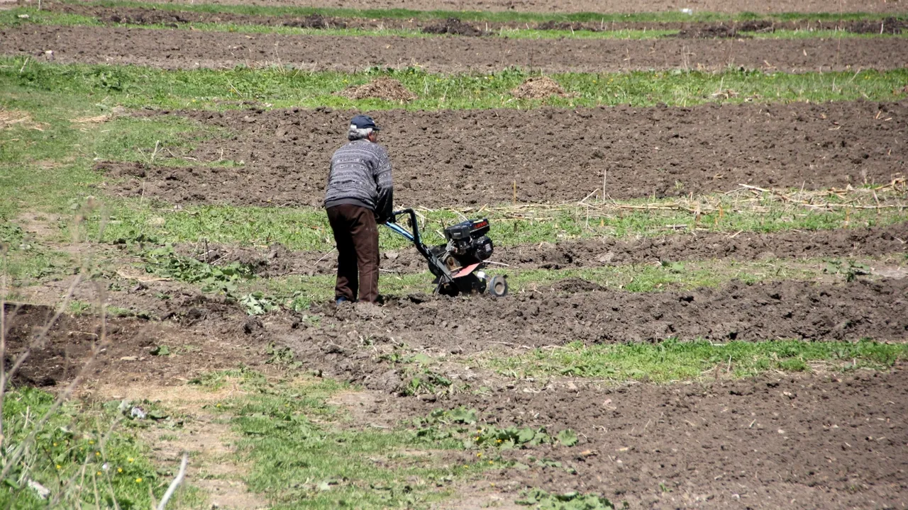 The Guardian, un nou articol controversat despre România: Localnicii din Maramureș se omoară între ei pentru o palmă de pământ