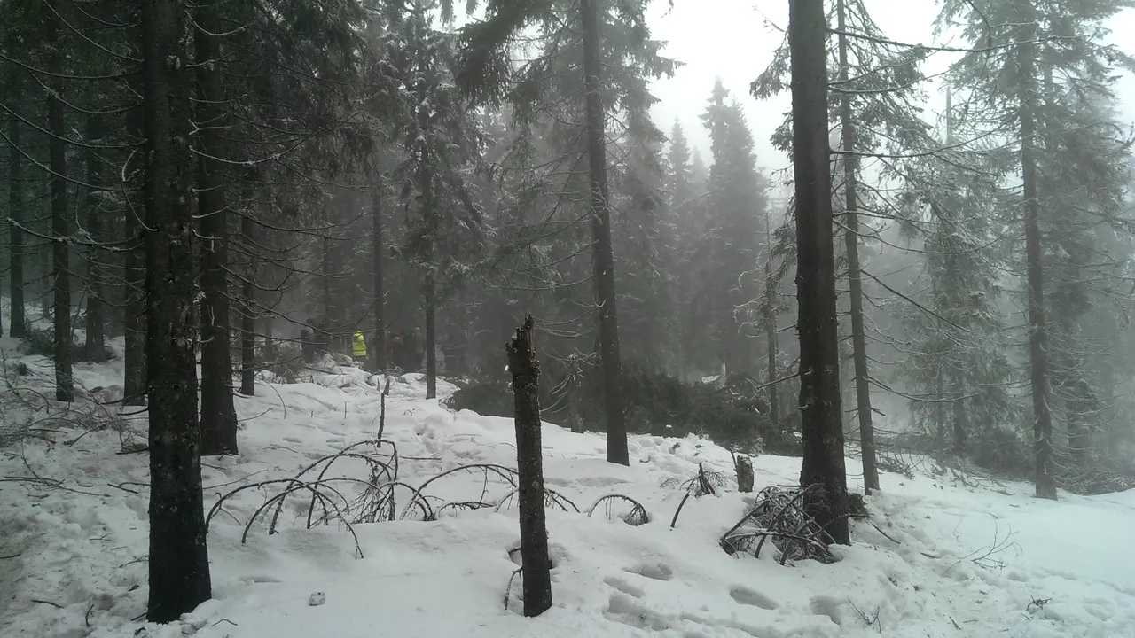 Cât ar putea dura investigația accidentului din Apuseni. Procurorul general spune că ar putea fi anchetați și responsabilii operațiunilor de căutare și salvare