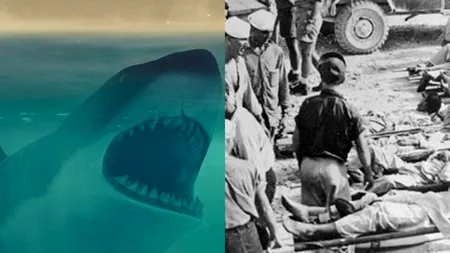 Cel mai sângeros atac al rechinilor din istorie: Au ucis 150 de marinari în patru zile