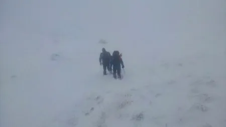 Jandarmii care îi caută pe frații dispăruți în Făgăraș au făcut o descoperire macabră: 