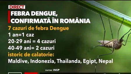 Specialiștii români AVERTIZEAZĂ asupra bolilor tropicale, răspândite de țânțari. 7 cazuri de febră dengue, confirmate în România, anul acesta
