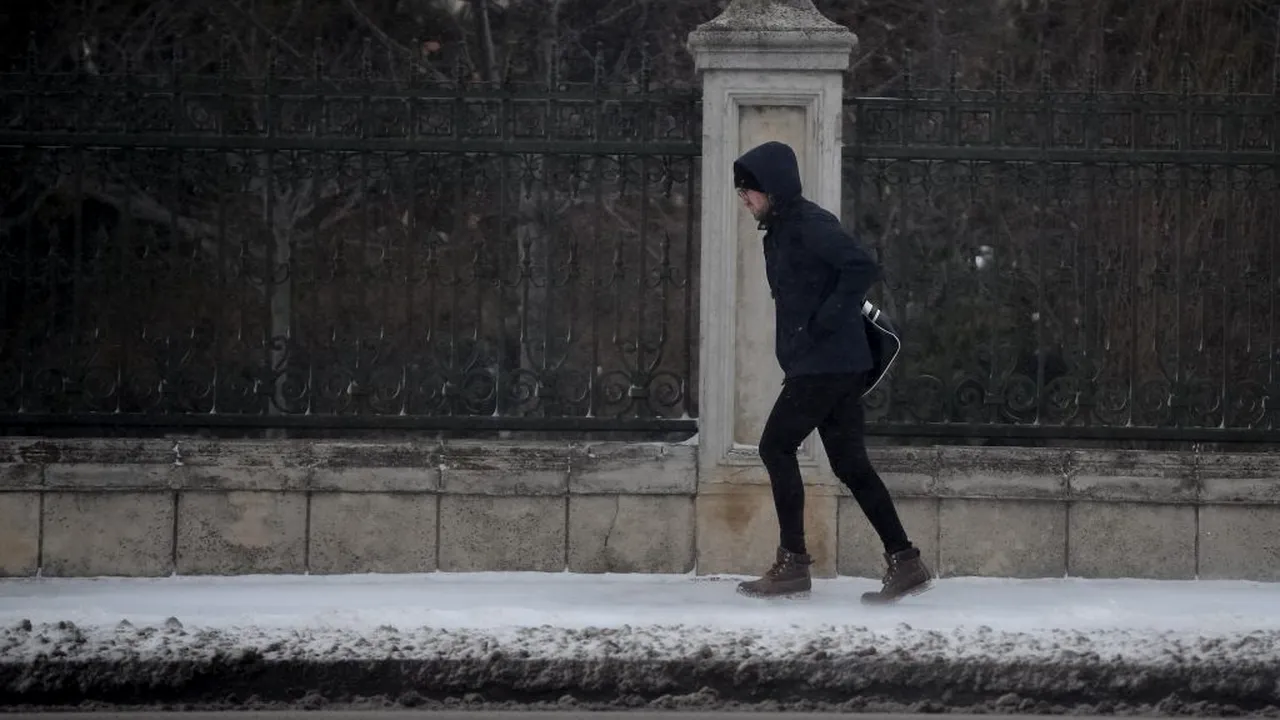 Vremea. Alertă meteo: Cod galben de vânt în trei judeţe