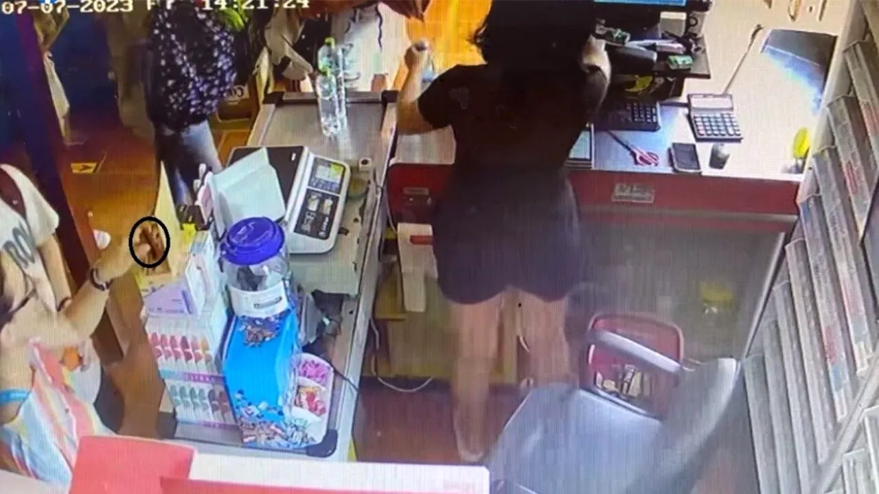 Așa se FURĂ în Costinești, în 2023. Cum a șterpelit această turistă, dintr-un magazin, o țigară electronică