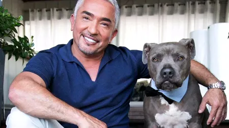Cesar Millan vine pentru prima oară în România. Care sunt pretențiile celui mai cunoscut antrenor canin