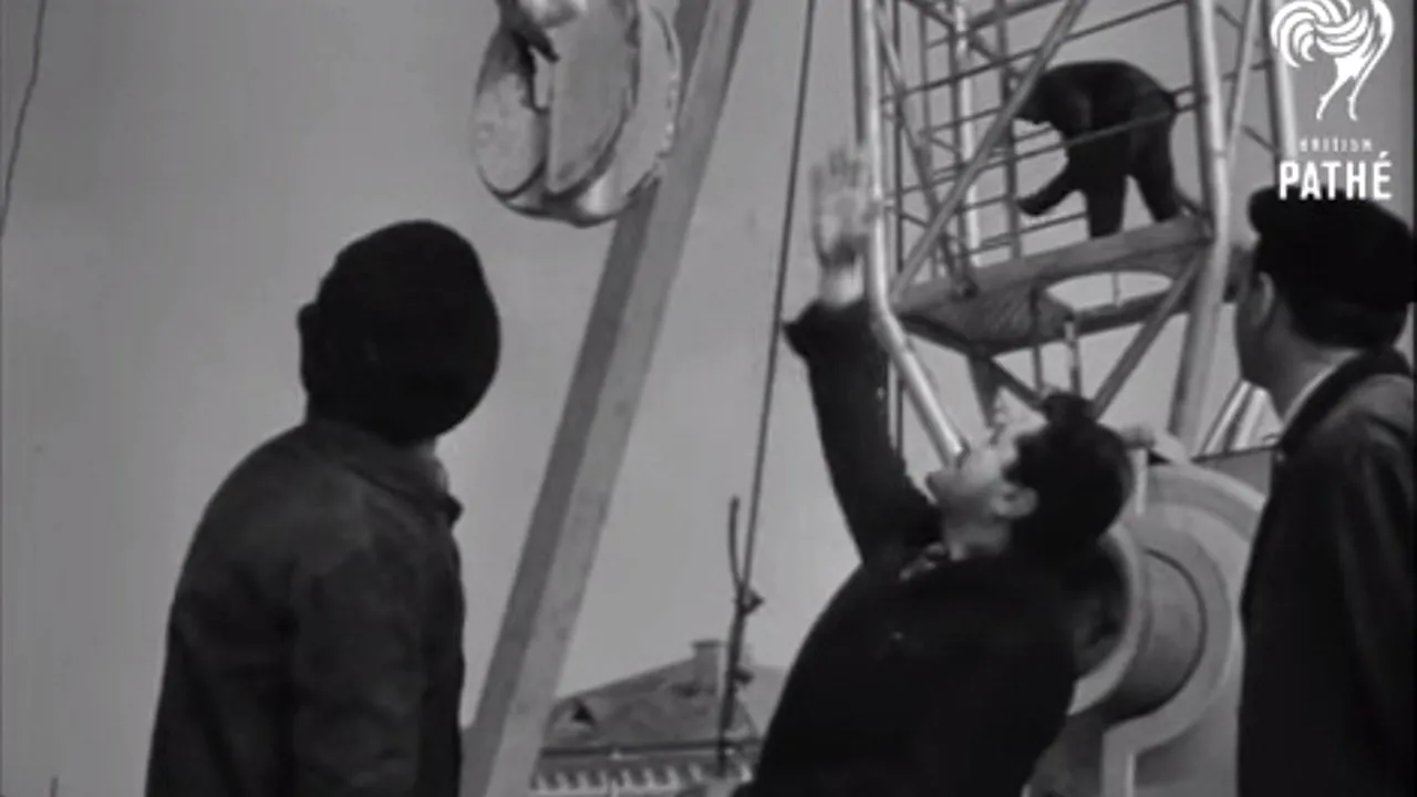 1 MAI MUNCITORESC - ZIUA MUNCII de altădată. O înregistrare de arhivă prezintă „realizările de prestigiu, elocvent manifest electoral