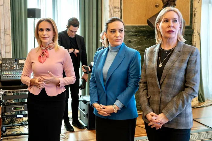 Gabriela Firea, despre Strategia Națională pentru Tineret / Sursa foto: Facebook Gabriela Firea