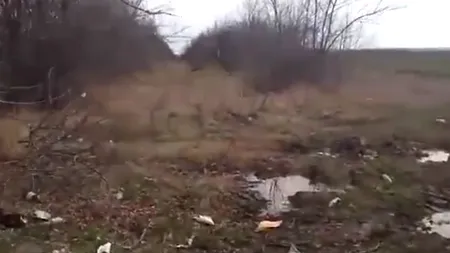 Descoperire alarmantă pe un câmp din Argeș: 95 de pistoale, ridicate de polițiști