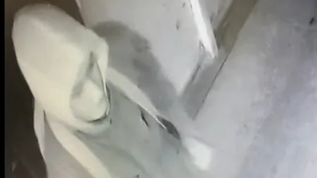 Cine este PIROMANUL din Târgu Jiu? Poliția cere ajutorul populației
