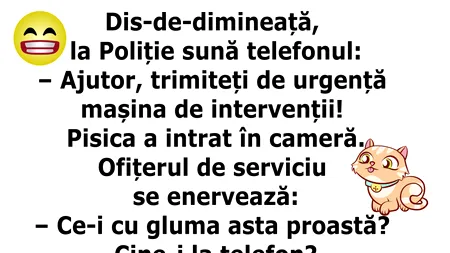 Bancul de sâmbătă | „Alo, pisica a intrat în cameră”