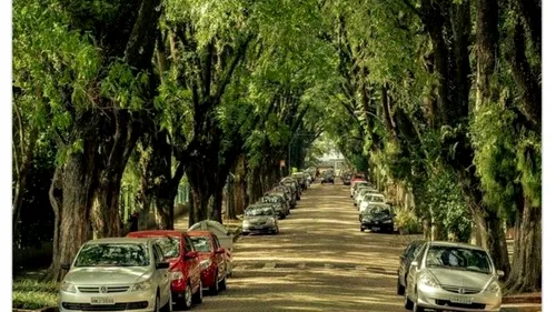 A fost declarată cea mai frumoasă stradă din lume - GALERIA FOTO care te va convinge și pe tine