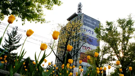 EUROVISION 2013. Înscrierile pentru selecția națională au loc între 14 ianuarie și 3 februarie