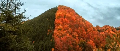 Locul de basm din România care te duce cu gândul la marile temple ale lumii. Misterul nedeslușit al piramidei