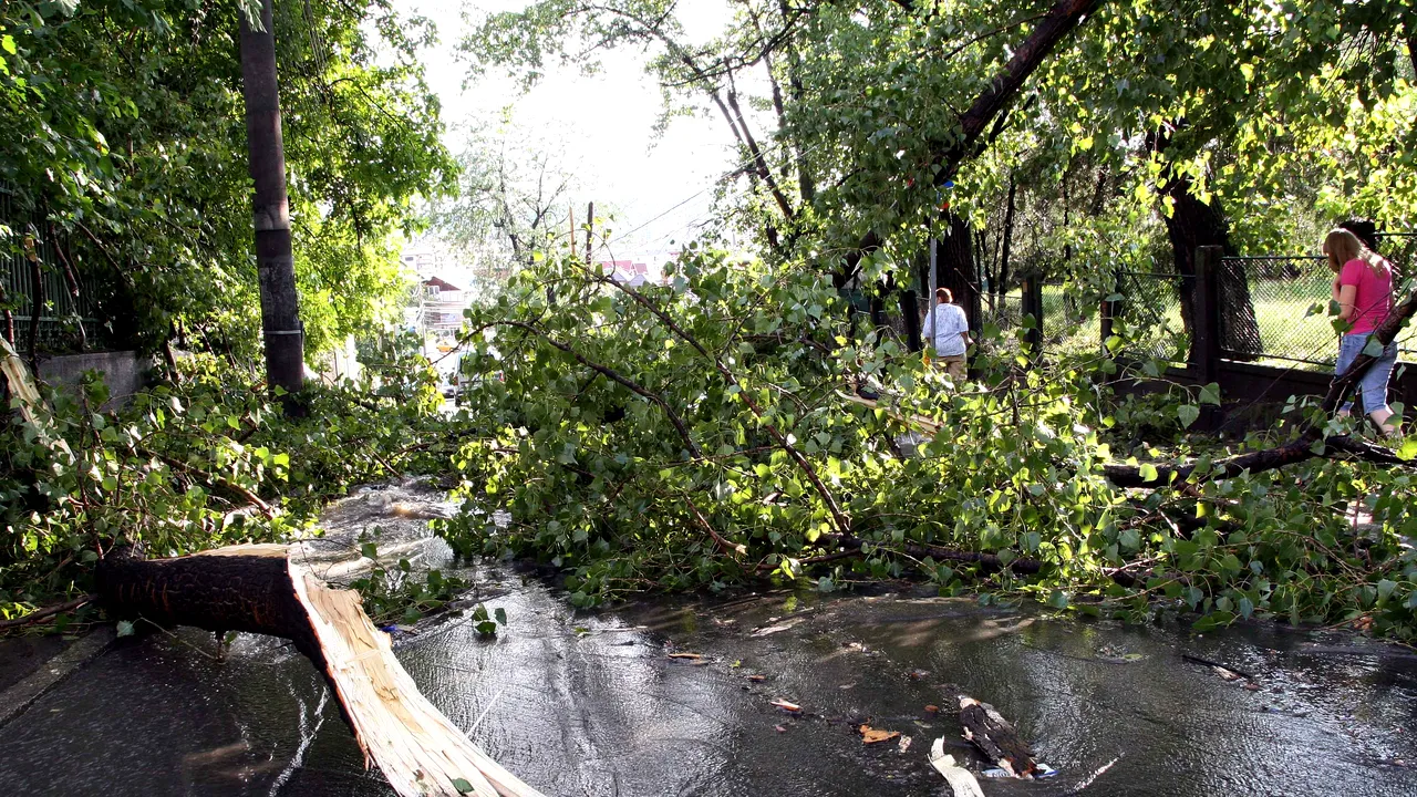 Avertizare de vânt puternic în 20 de județe 